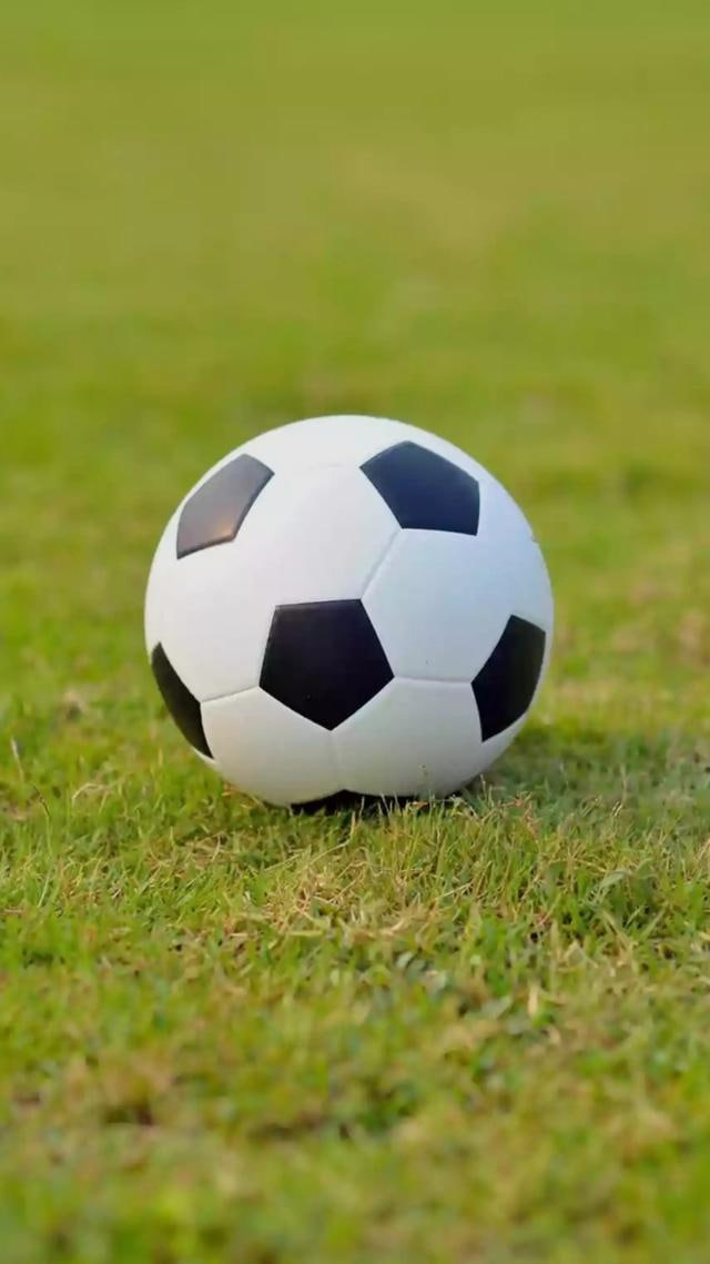 用户社区互动交流